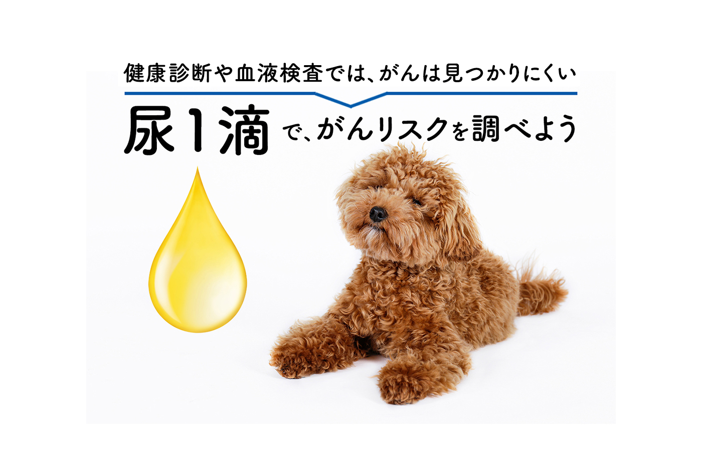 「がん」は犬の死因1位｜まずは愛犬の「尿」で、がんのリスクを知ろう