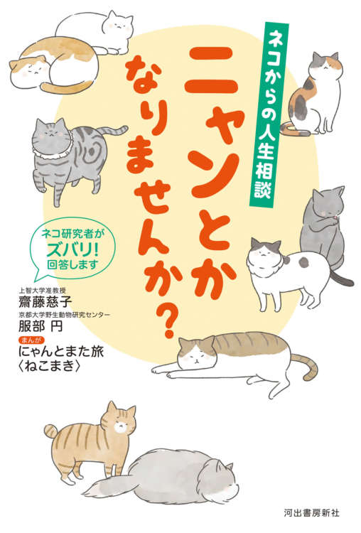 『ネコからの人生相談 ニャンとかなりませんか？』