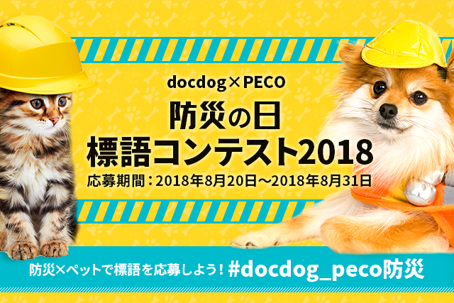 docdog×PECO 防災の日標語コンテスト2018