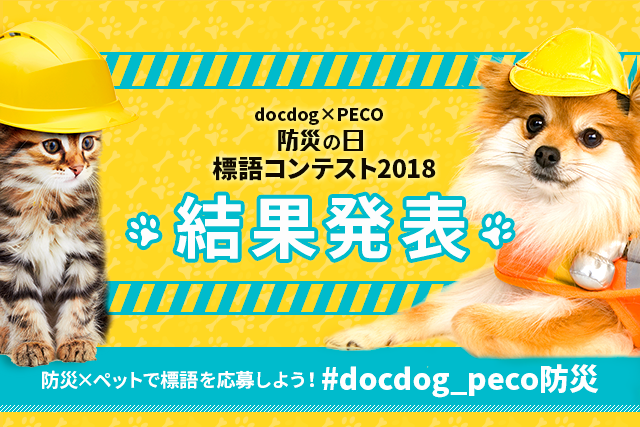 【グランプリ発表！】docdog×PECO 防災の日標語コンテスト2018