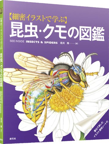 細密イラストで学ぶ 昆虫・クモの図鑑