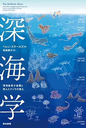 想像以上に広くて複雑な深海という世界──『深海学―深海底希少金属と死んだクジラの教え』