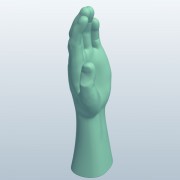 Mão de Kung Fu v1 3d model