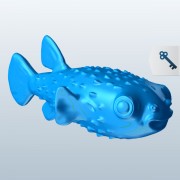 Puffer fish v1  3d model