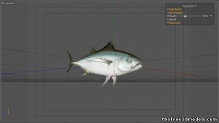 Tuna fish 3d model