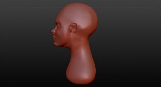 Female Head 3d model