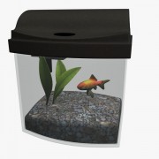 Fish Tank v1 3d model