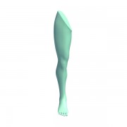 femaleleg v1  3d model