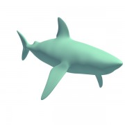 Shark v5  3d model