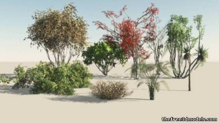 Bushes 3d model