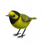 Bird v1  3d model