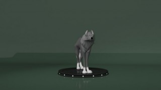 Wolf 3d model