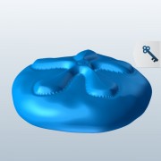 Deniz bisküvi kum dolar v1 3d model