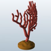 Gorgonian Soft Coral v1  3d model