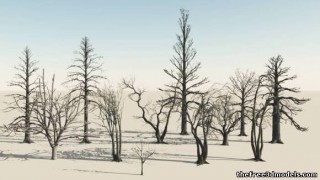 Some dead trees 3d model