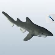 Goblin Shark v1  3d model