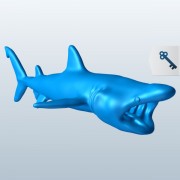 Basking Shark v1  3d model