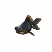 Black Moor Goldfish v1  3d model