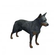 Cão de gado australiano v1 3d model