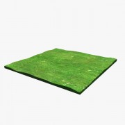  Rectangular Grass Patch  3d model