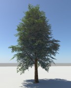 Tree02 3d model