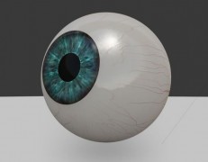 göz küresi 3d model