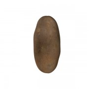 Potatis V1 3d model