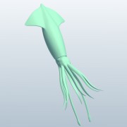 squid v1  3d model