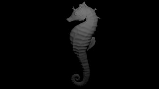 Seahorse 3d model