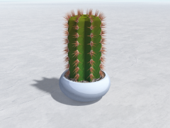 Planta de cactus modelo 3d