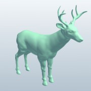 WhiteTailedDeer v2 3d model