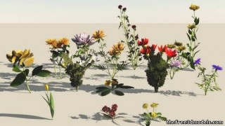 Flowers 3d model