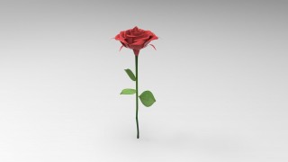 Rose 3d model