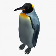 ペンギンV2 3d model