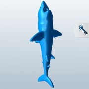 Great White Shark going towards surface v1  3d model