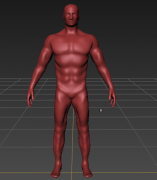 Malla de base masculina vascular modelo 3d