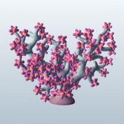 Tree Coral v2  3d model