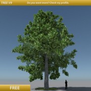 Tree Oak V9 3d model