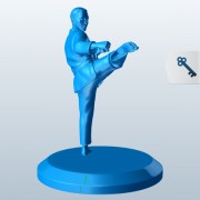 空手道Roundhouse Kick v1 3d model