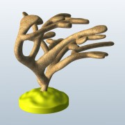 Elkhorn Coral v1  3d model