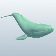 bluewhale v2  3d model