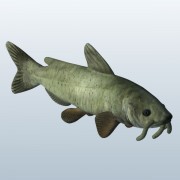  Catfish v1 obj 3d model