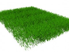 Grass 3d model