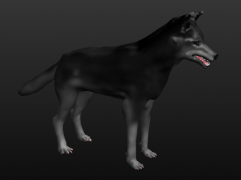 wolf 3d model