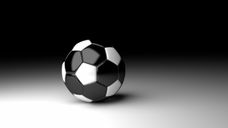 calcio 3d model