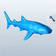 Whale Shark v1  3d model