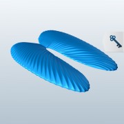 Angel wings shell v1  3d model