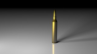 Bullet + Shell (Rifle) 3d model