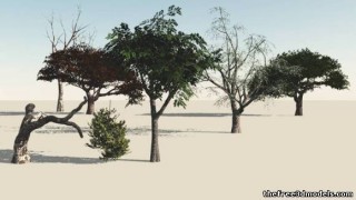 Alberi 1 3d model