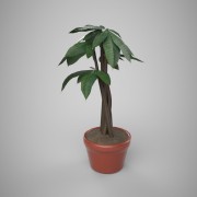 House Plant 03 3d model